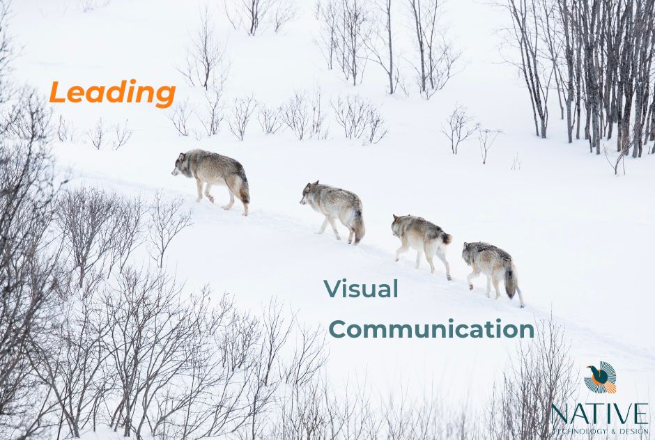 WhatsApp Image 2026 03 07 at 11 25 02 1